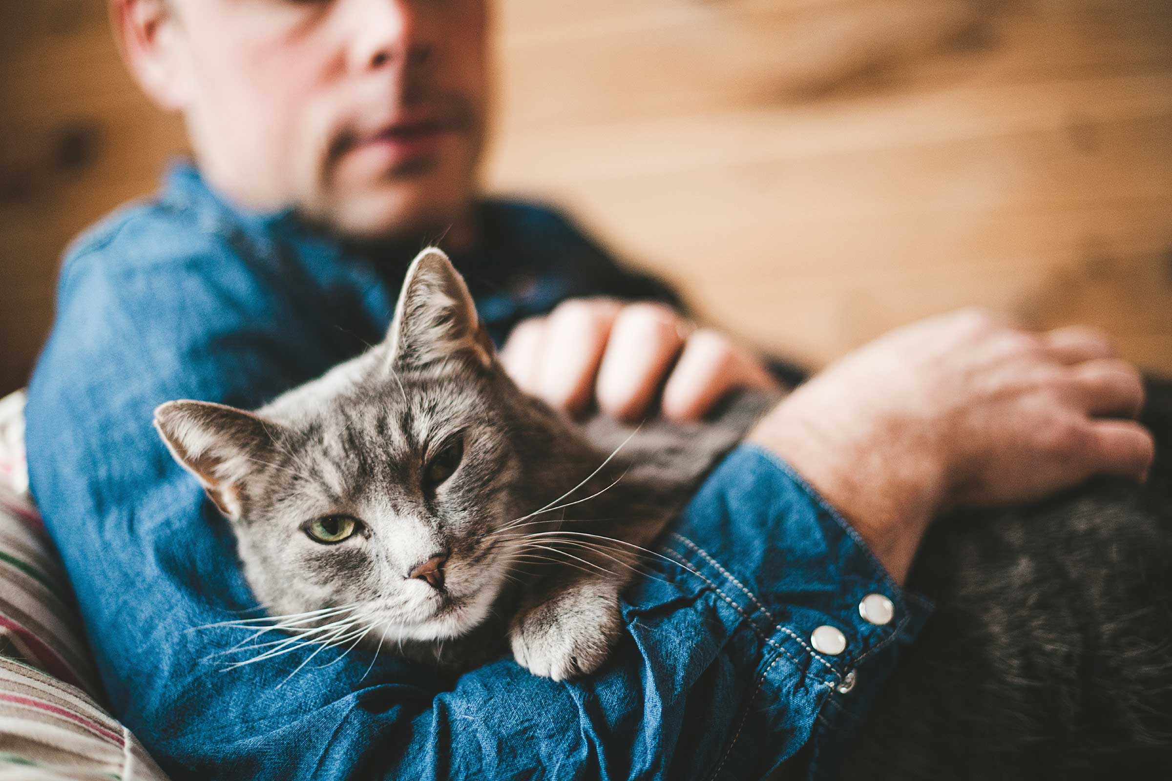 Should you allow pets in your rental property?